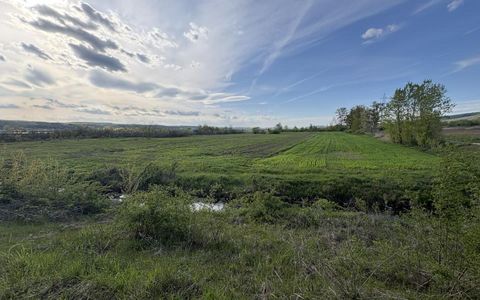 Teren Budeasa cu acces la lac