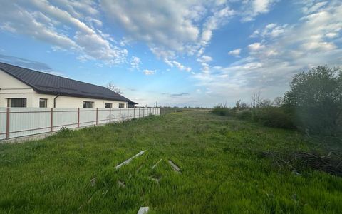 Teren intravilan 1.997 mp – Poziție excelentă la intrare în Pietroasa