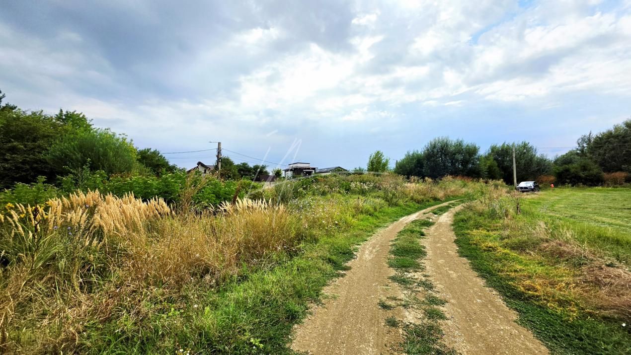 Teren intravilan la Teghes – pozitionare excelenta langa padure – fotografia 8 din 24