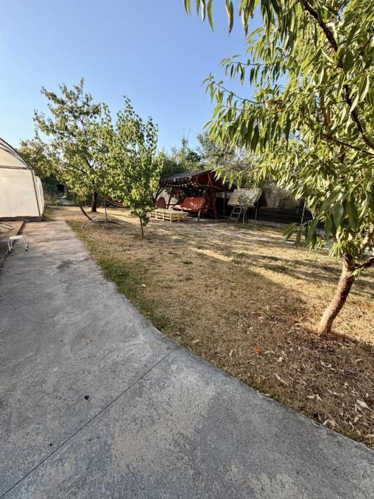 Casa individuala in vatra veche - Giarmata Mare – fotografia 6 din 16