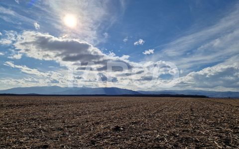 Teren arabil de vanzare   extravilan 5950mp zona Sopa  Selimbar
