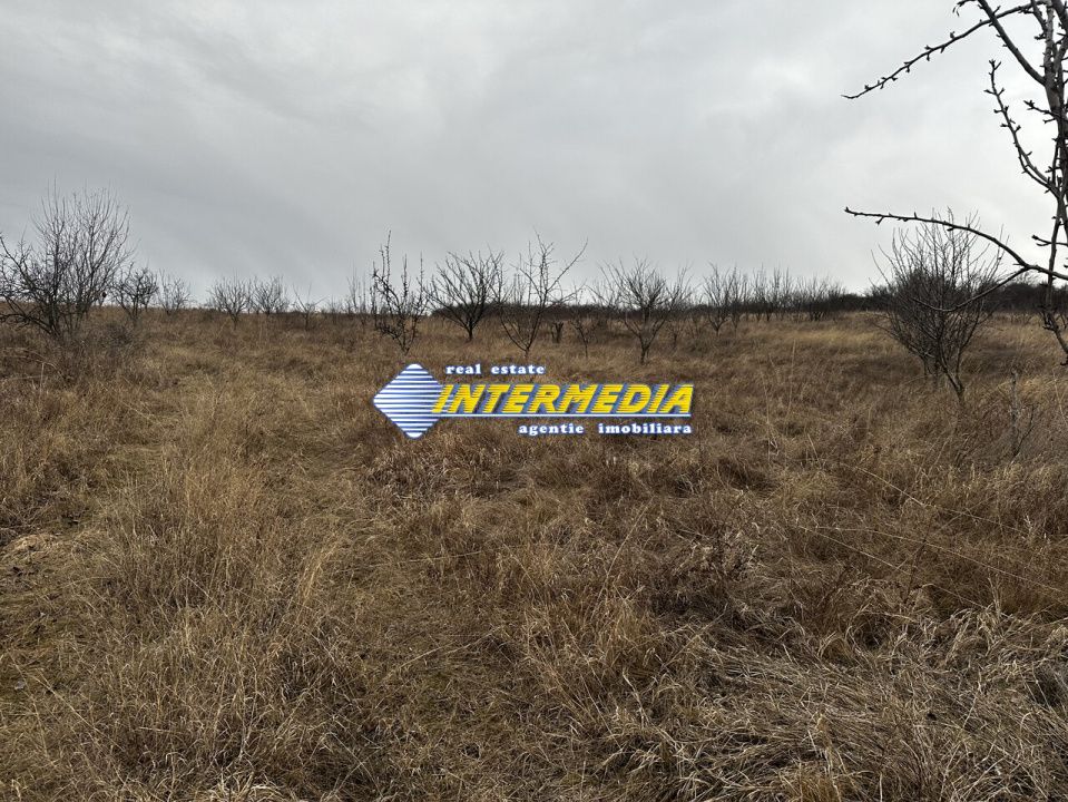 Teren extravilan de vanzare in suprafata de 80000 mp cu livada de pomi fructiferi – fotografia 9 din 11