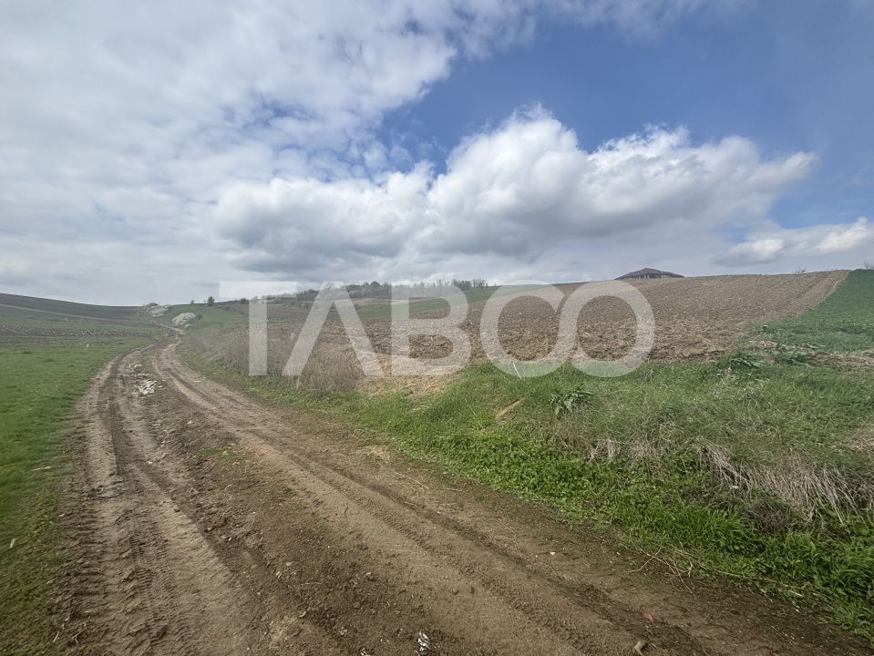 Teren intravilan  4600mp  de vanzare  in Sura Mare Sibiu – fotografia 2 din 2