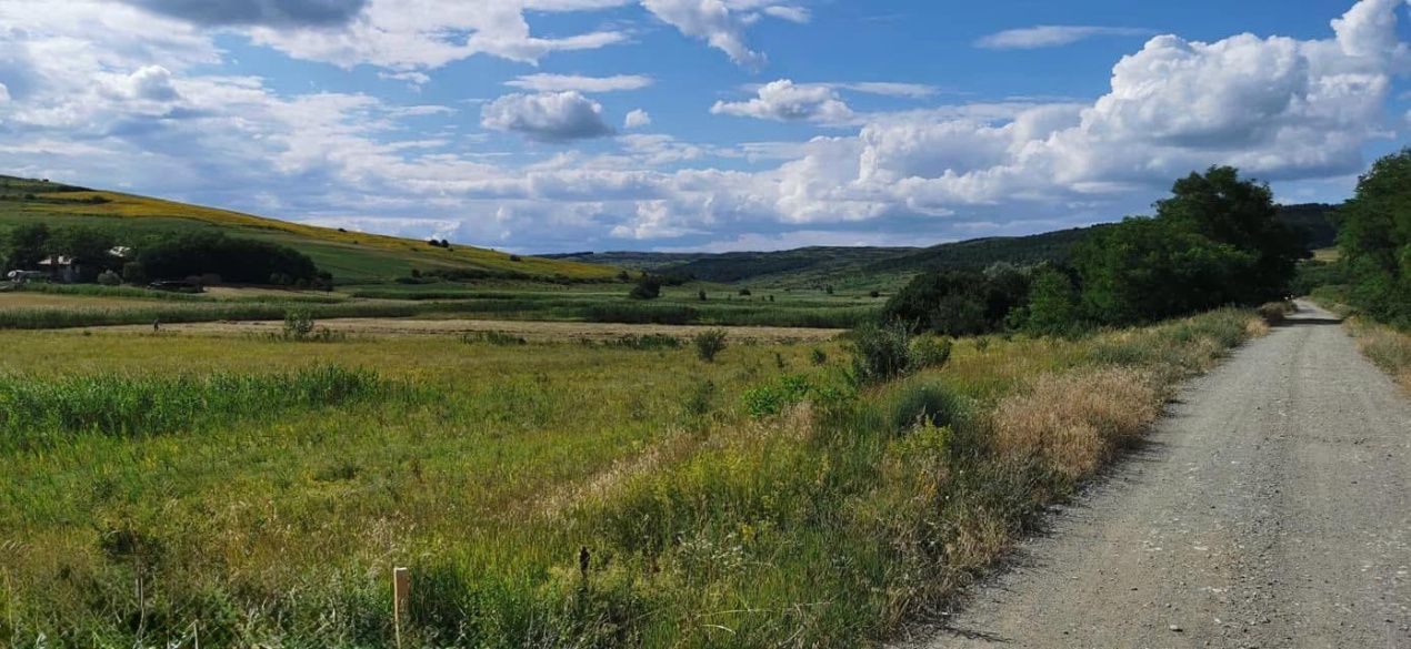 Teren intravilan 17400mp Campenesti – fotografia 1 din 7
