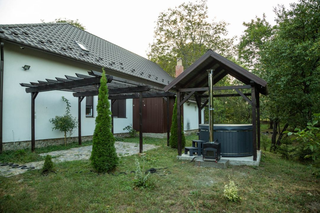 Cabane de vânzare Reghin Deda - Bistra Mureșului – fotografia 9 din 44