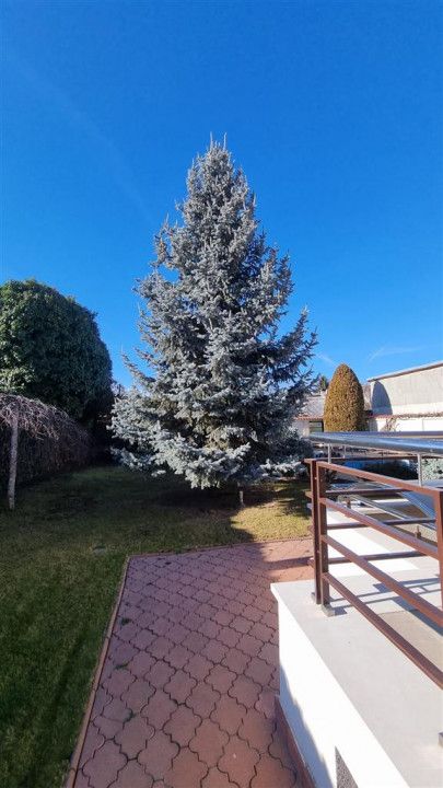 Inchiriere Vila Lux Ploiesti – fotografia 12 din 68