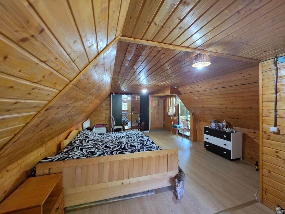 🏡 PROPRIETATE EXTRAORDINARĂ– LOTRIOARA, JUDEȚUL SIBIU! 🌲 – fotografia 44 din 72
