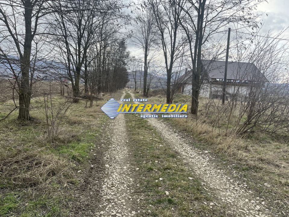 TEREN INTRAVILAN I 800 MP I IGHIU I LATIME 29 ML I IDEAL CASA SAU CABANA I – fotografia 2 din 5