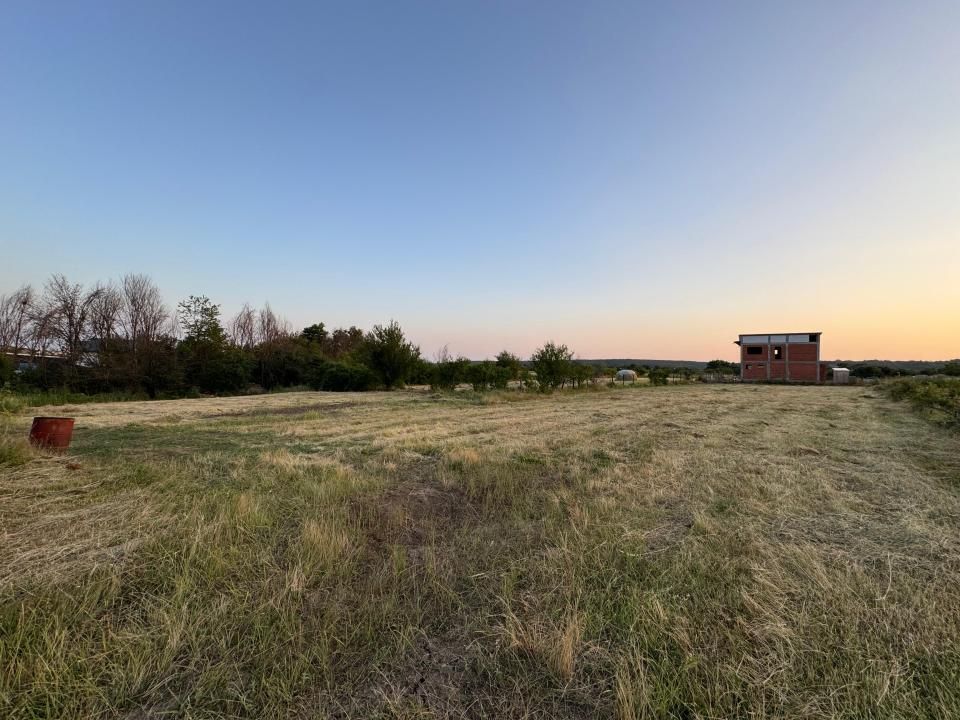 Teren 1650 mp intravilan Trivale - Olteni – cadru natural langa Padure – fotografia 1 din 5