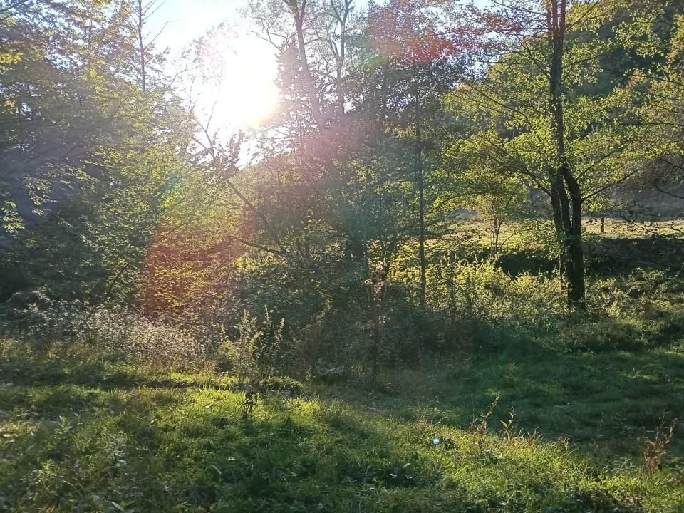 TERENUL PE CARE NU-L CAUȚI… DAR CÂND ÎL VEZI, ÎL VREI! – fotografia 3 din 12
