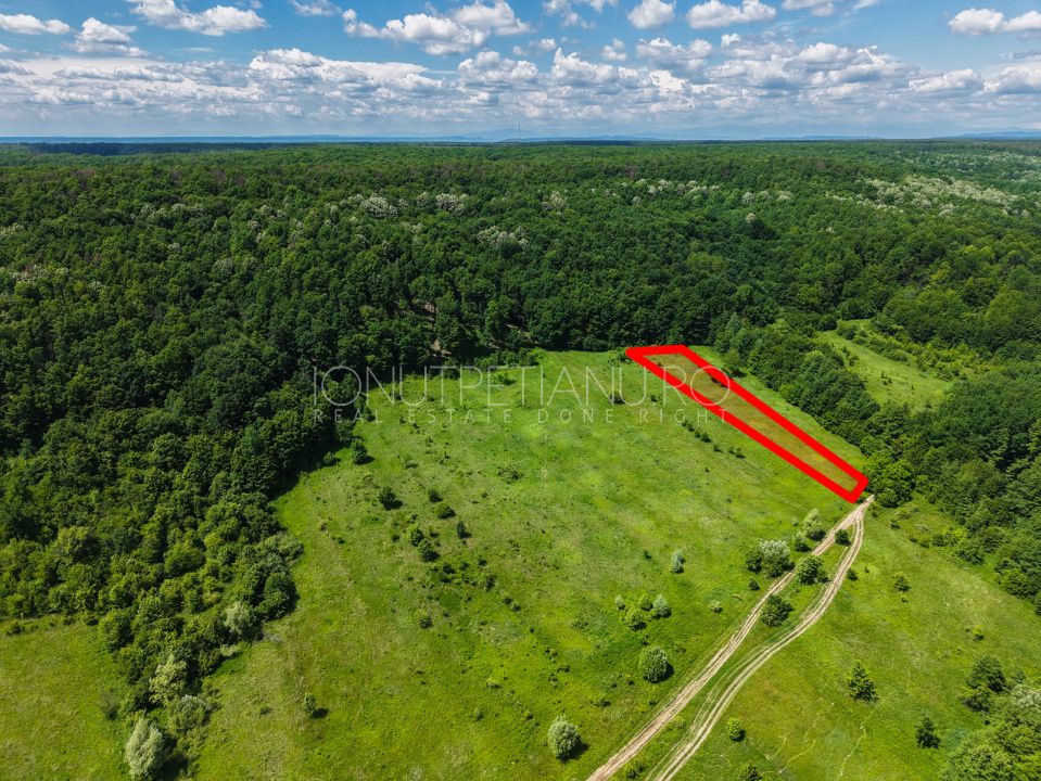 Teren Pasune + Arabil - Valea Mare Podgoria Arges – fotografia 3 din 29