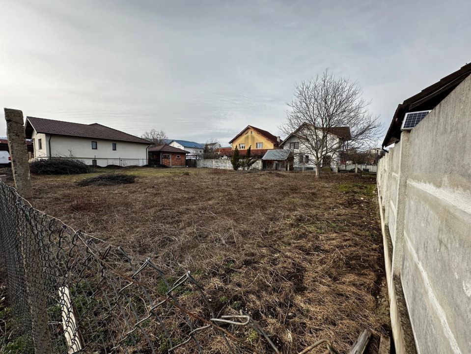 Teren Intravilan CETATE Lalelelor 450 mp. D=14 m. Toate Utilitatile in fata – fotografia 6 din 8
