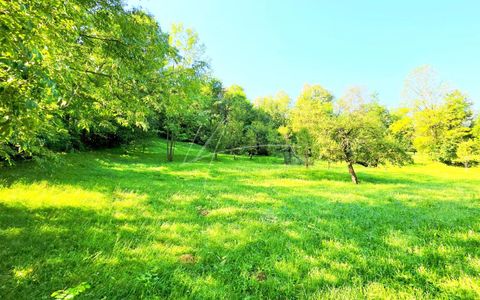 TEREN IN SUPRFATA DE 2870 MP IN PROVITA DE SUS VALEA BRADULUI JUD PRAHOVA