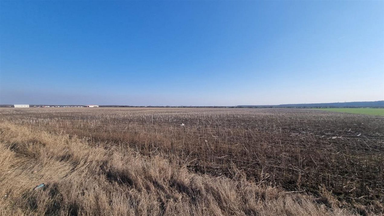 Teren extravilan de vanzare in Aricestii Rahtivani 11000 mp – fotografia 2 din 3