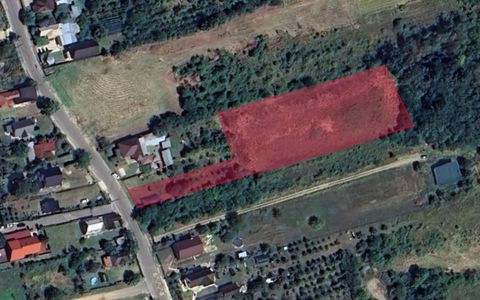 Teren 5.000 mp de vânzare – Zona Dealu Viilor (Mosoaia), cadru natural