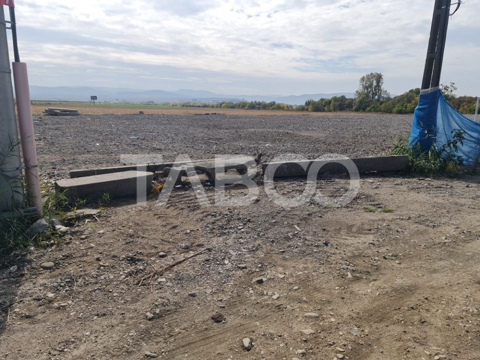 Teren de vanzare in Sebes pe strada Calarasi – fotografia 5 din 5