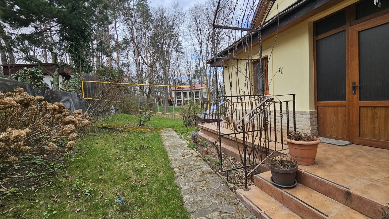 Casa de vanzare in padure | Bucium | Cartier select, restrans – fotografia 6 din 24