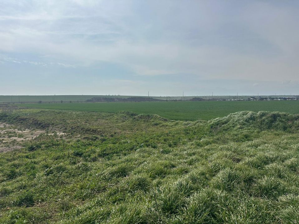 Teren intravilan 10.000 mp | DN | in Zona Volvo - Hala Neagră – fotografia 1 din 10