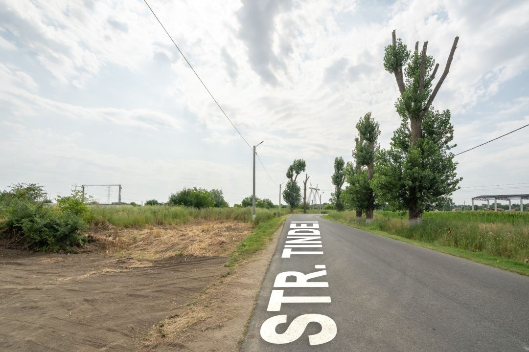 Teren Cernica,pentru Dezvoltare Rezidențială sau Industriala – fotografia 16 din 20