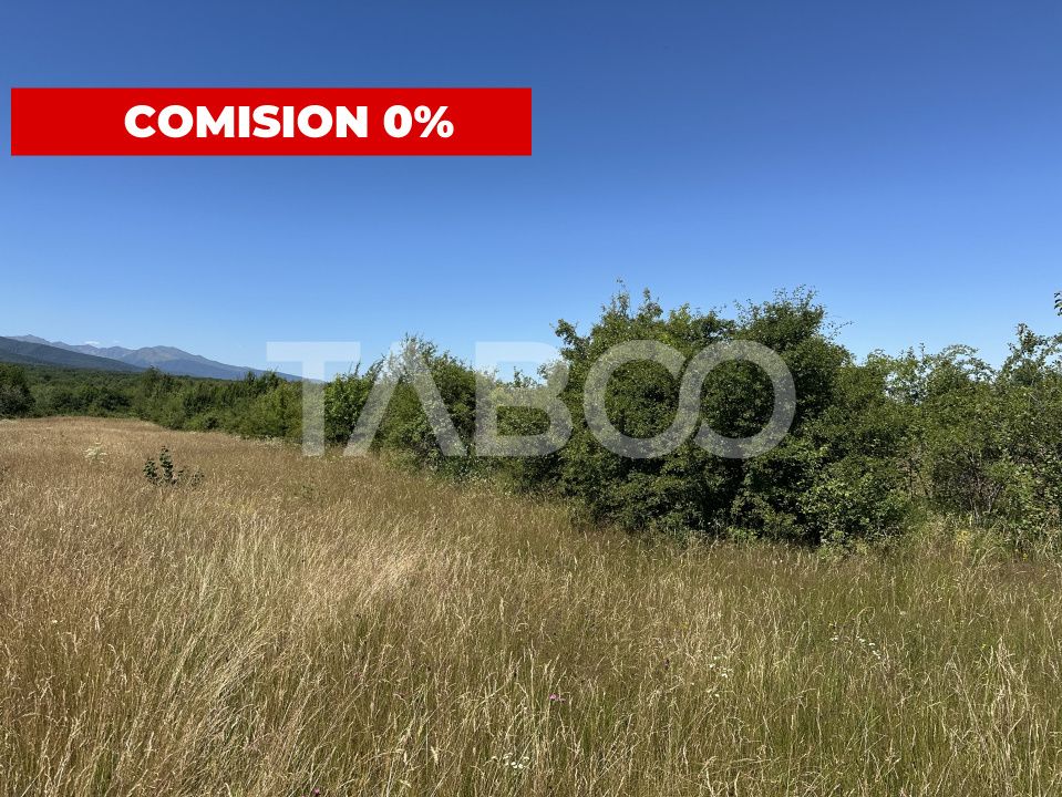 Comision 0% Teren extravilan cu utilitati 2000 mp pe Valea Sebesului – fotografia 1 din 3