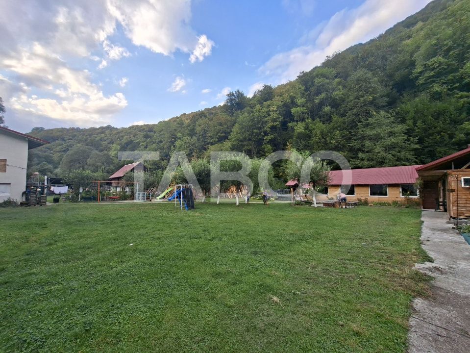 Spatiu de vanzare in Valea Macesului judel Valcea iesire la Lotru – fotografia 35 din 49