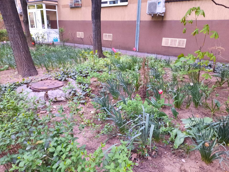Drumul Taberei, Valea Oltului Brancusi, garsoniera parter, bloc 4 etaje, boxa – fotografia 17 din 28