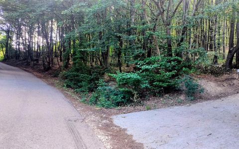 TEREN STEFANESTI(VALEA MARE) ZONA IN PLINA DEZVOLTARE