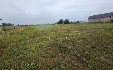 Teren intravilan 1200 mp, deschidere 14 ml in Avrig, judet Sibiu