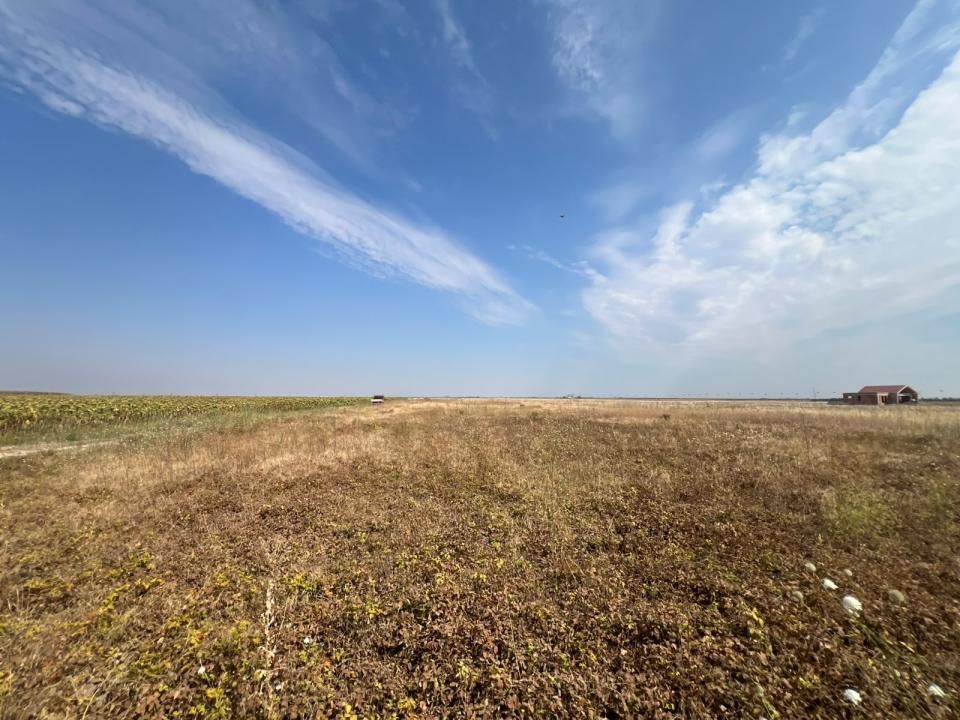Teren intravilan, 733mp, posibilitate investitie- Sanandrei – fotografia 1 din 2
