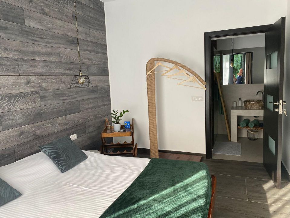 Casa Lux Mediteraniana cu 1620 mp. teren mobilata utilata CETATE cazare pensiune – fotografia 11 din 52