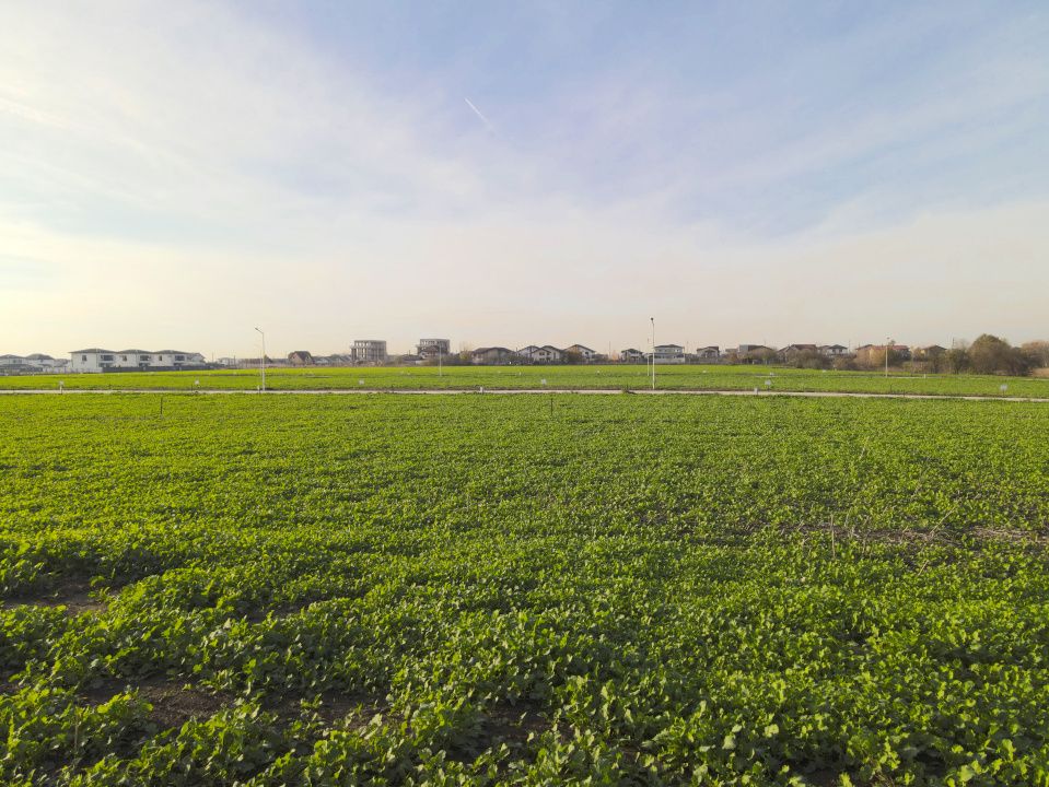 Lot 406mp In Rate Com Berceni | utilitati: curent gaz asfalt | #SG1 – fotografia 13 din 17