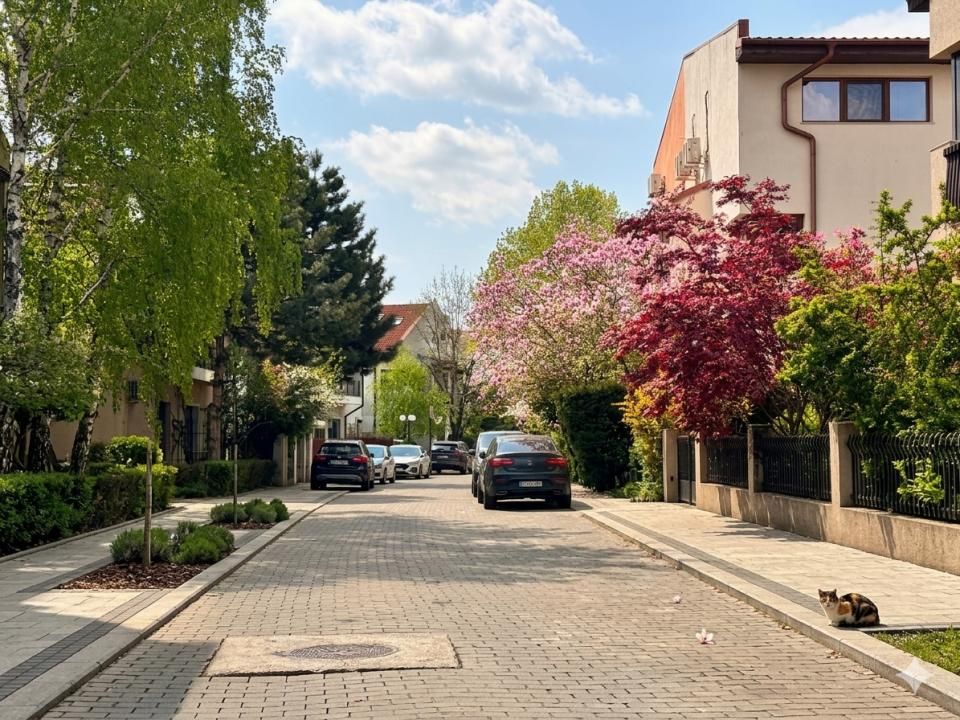 0%- IMAGINEAZA-TI Diminetile Aici | CASA Rara 5 CAMERE Bucurestii Noi DAMAROAIA – fotografia 37 din 43