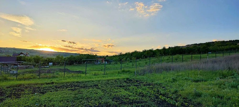 Teren intravilan 2500 mp, Valea Fanatelor, Cluj - 0% COMISION! – fotografia 7 din 9