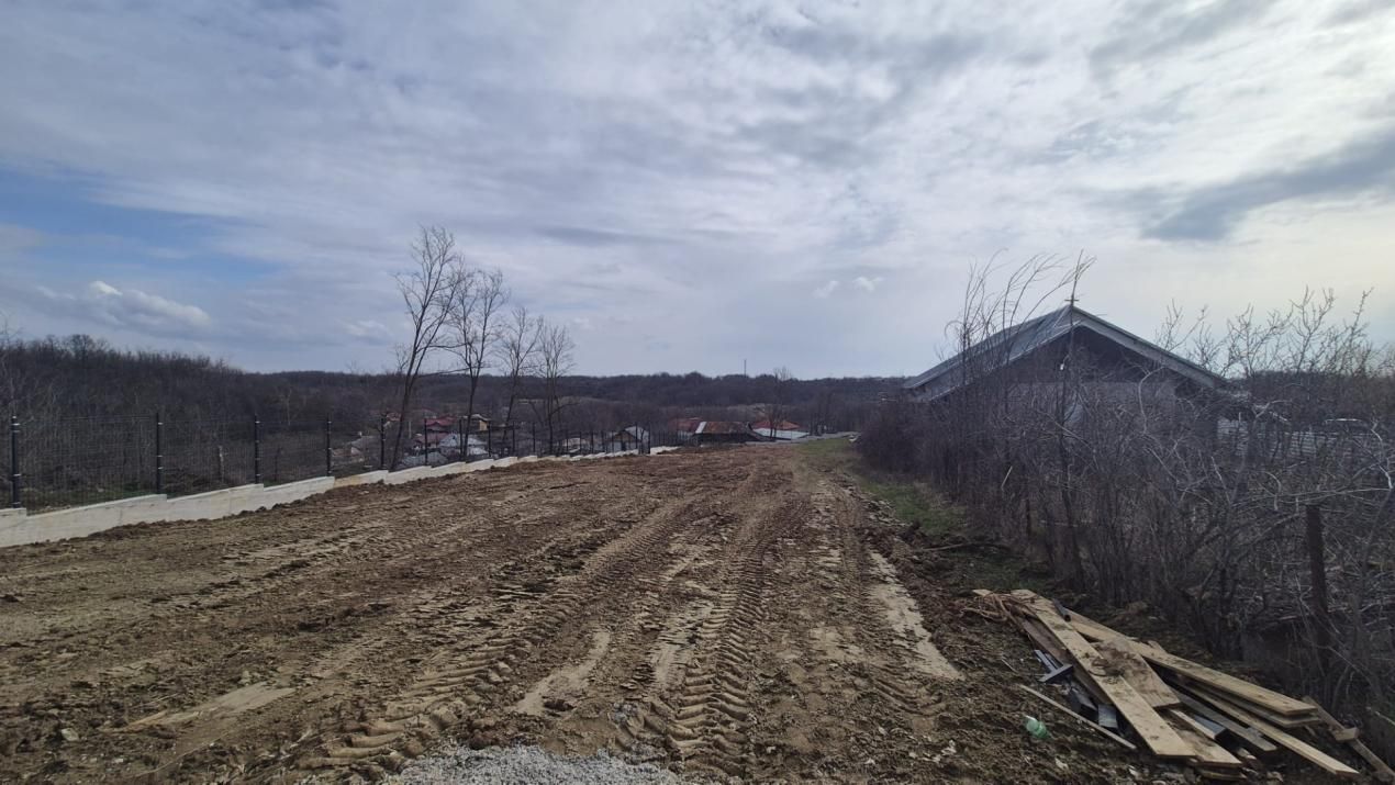 Teren 1.500 mp lângă pădure, Albota – liniște, natură și potențial de parcelare – fotografia 4 din 5