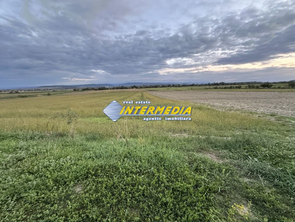 OKAZIE ! 2300 mp. Teren Intravilan Mereteu lat 22 m toate utilitatiile in fata – fotografia 3 din 8