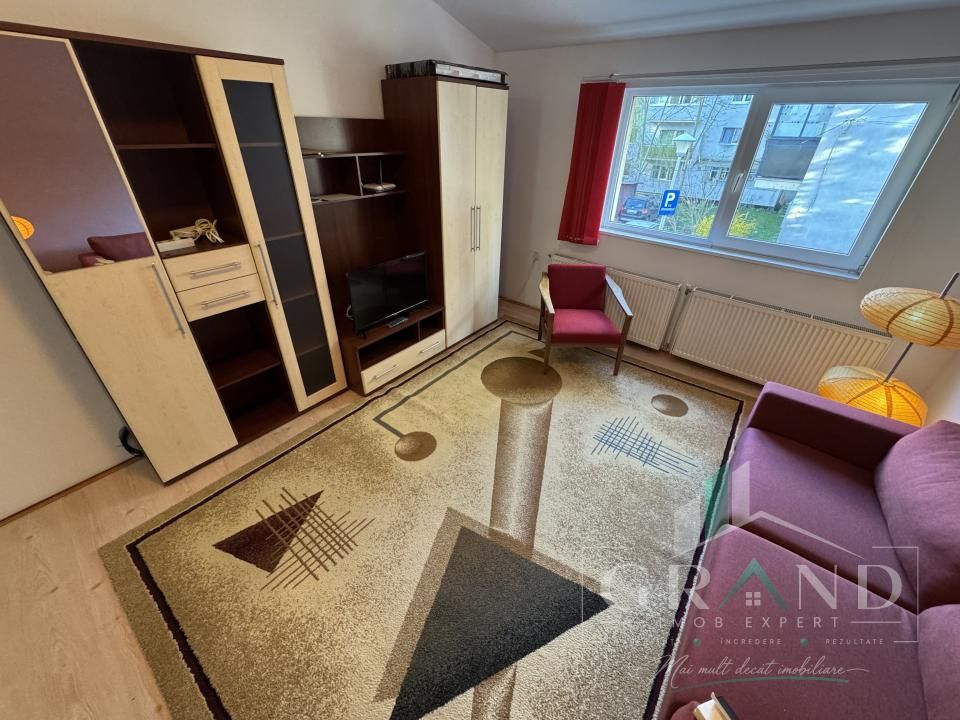 Ap 1 cameră+nișă de dormit | TERASĂ |  Hotel Premier/Grigorescu – fotografia 27 din 28