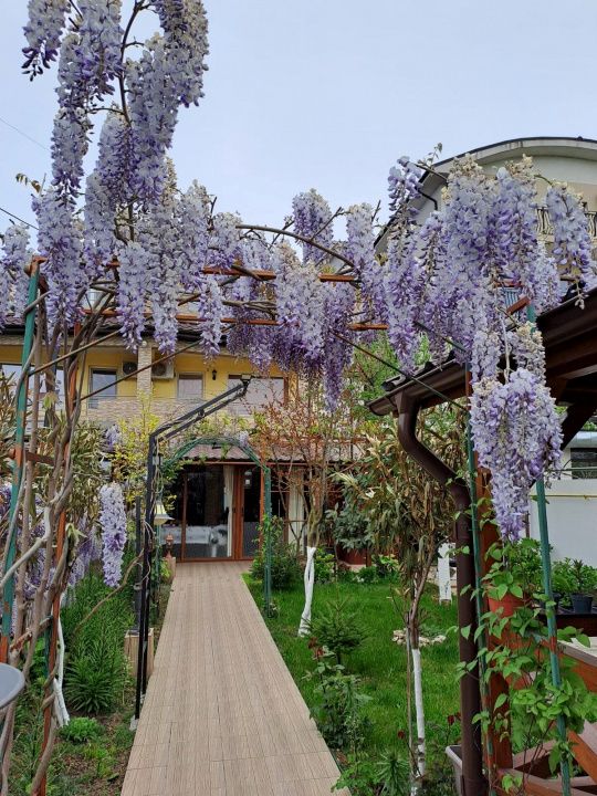 Casă P+1+M de vânzare, 5 camere, foișor, bucătărie de vară, zona Mamaia Sat – fotografia 14 din 18