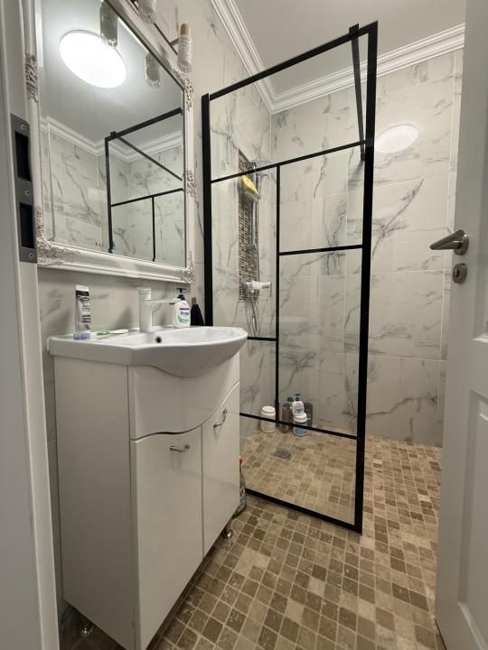 COMISION 0% Apartament modern, o camera, parter, mobilat - Remetea Mare – fotografia 5 din 6