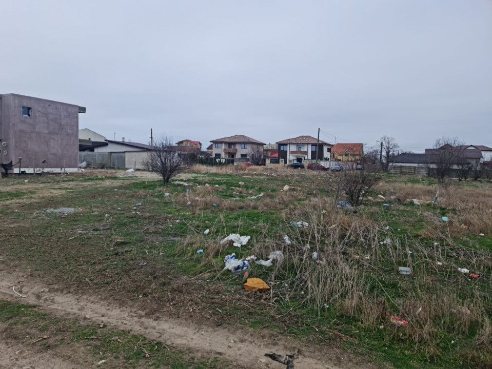Anunturi vanzari terenuri in Palazu Mare – fotografia 3 din 6
