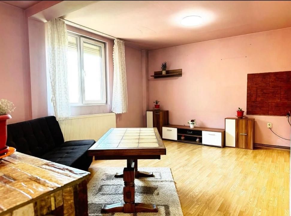 Casa individuala,5 camere,113 mp, 180 teren, mobilata - zona Cetatii – fotografia 4 din 12