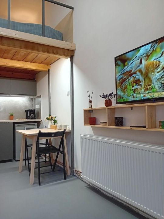 Centru, apartament cu 1 camera de vanzare, autorizat pentru regim hotelier – fotografia 1 din 11