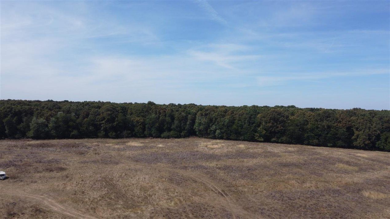 ✨Teren Voluntari-Pipera | 3.700mp | Zonă Pădure & Școli Internaționale✨ – fotografia 8 din 8