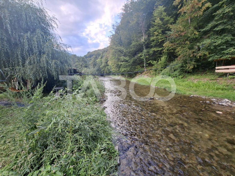 Spatiu de vanzare in Valea Macesului judel Valcea iesire la Lotru – fotografia 22 din 49