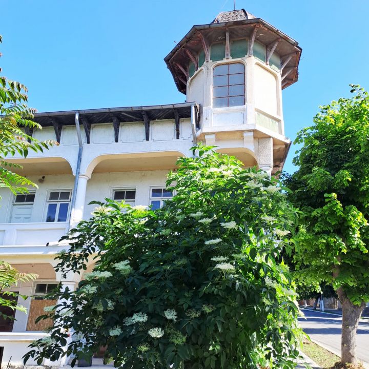 Techirghiol – Proprietate cu potențial rezidențial, turistic și wellness – fotografia 2 din 11