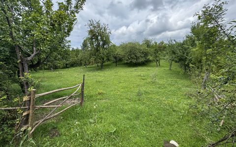 🏡 Teren intravilan | 22Ari. |  Budacu de Sus, la doar 17 km de Bistrița! 🌳