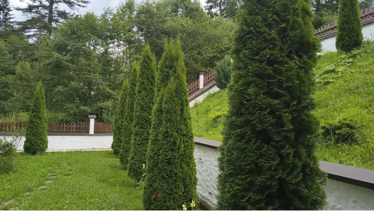 Penthouse cu vedere spectaculoasă către Masivul Bucegi | Predeal – – fotografia 1 din 36