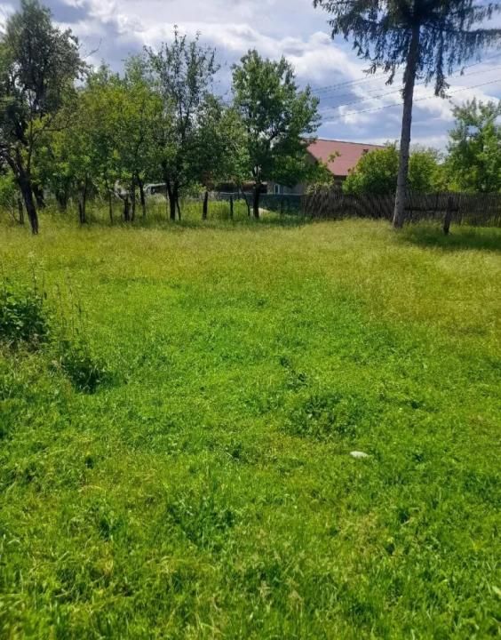 Casă cu 4 camere și teren generos de 940 mp – Stâlpeni - Cotoreni – fotografia 5 din 5