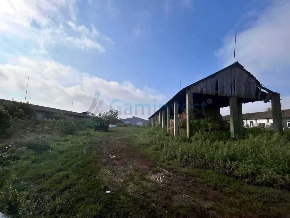 Hală industrială 1800 mp de depozitare de vânzare, Bihor – fotografia 5 din 5