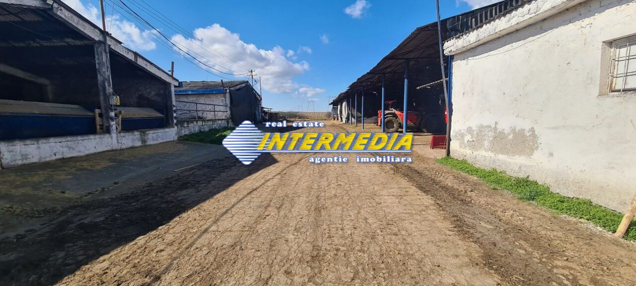 Ferma de vanzare in apropiere de Alba Iulia – fotografia 3 din 12