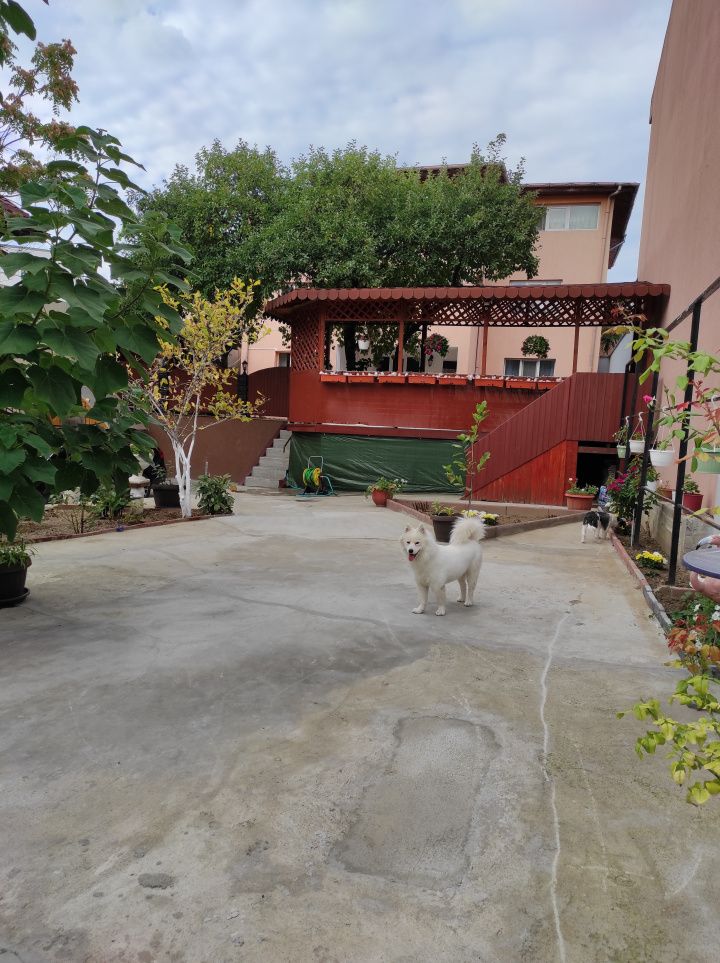 Proprietate pe 793 m² de teren | Locuință + Business– Sector 3 – fotografia 5 din 26